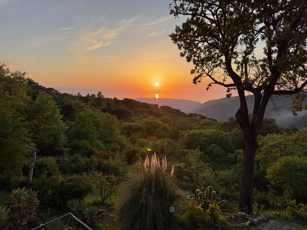 Cefalu Forest Hideout Exterior foto