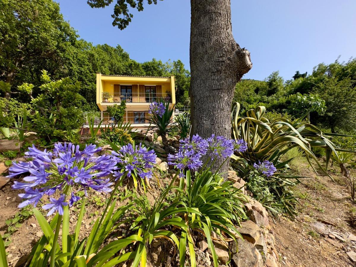 Cefalu Forest Hideout Exterior foto