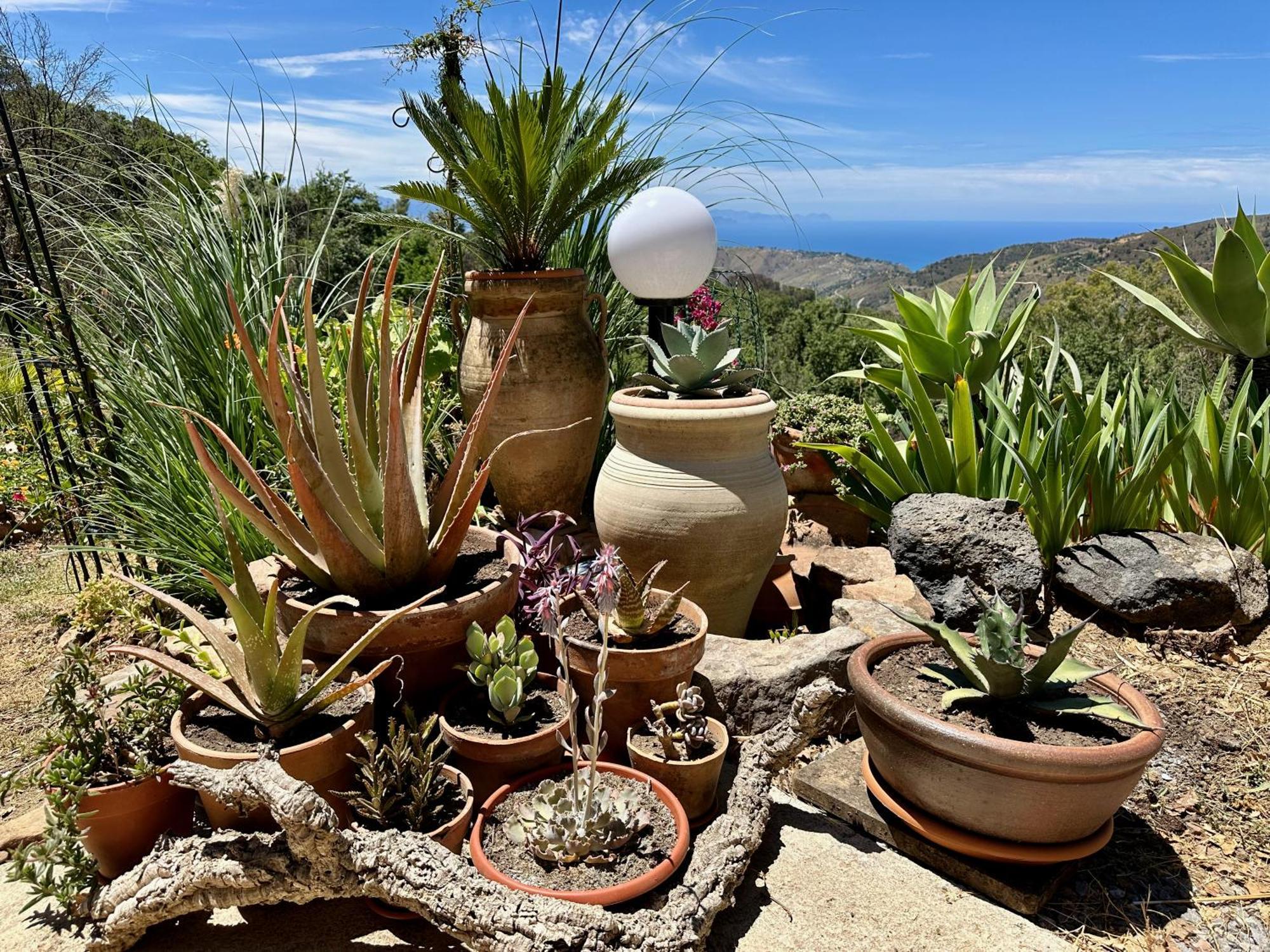 Cefalu Forest Hideout Exterior foto